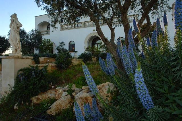 Hotel Griko Country