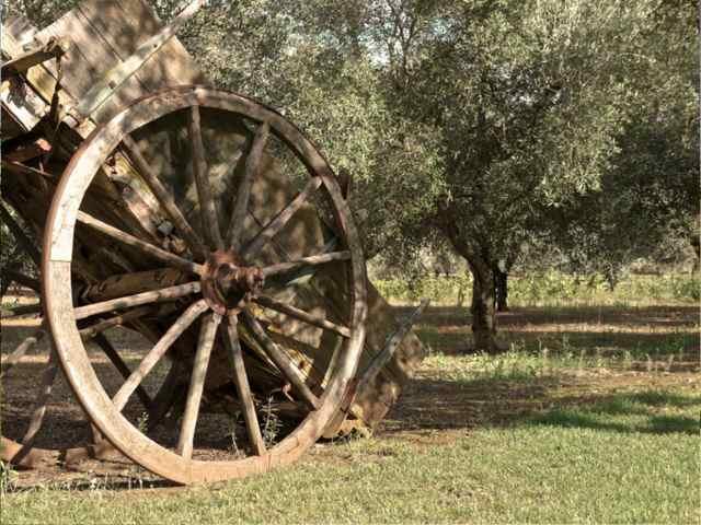 Griko Country Lecce